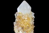 Sunshine Cactus Quartz Crystal - South Africa #80209-2